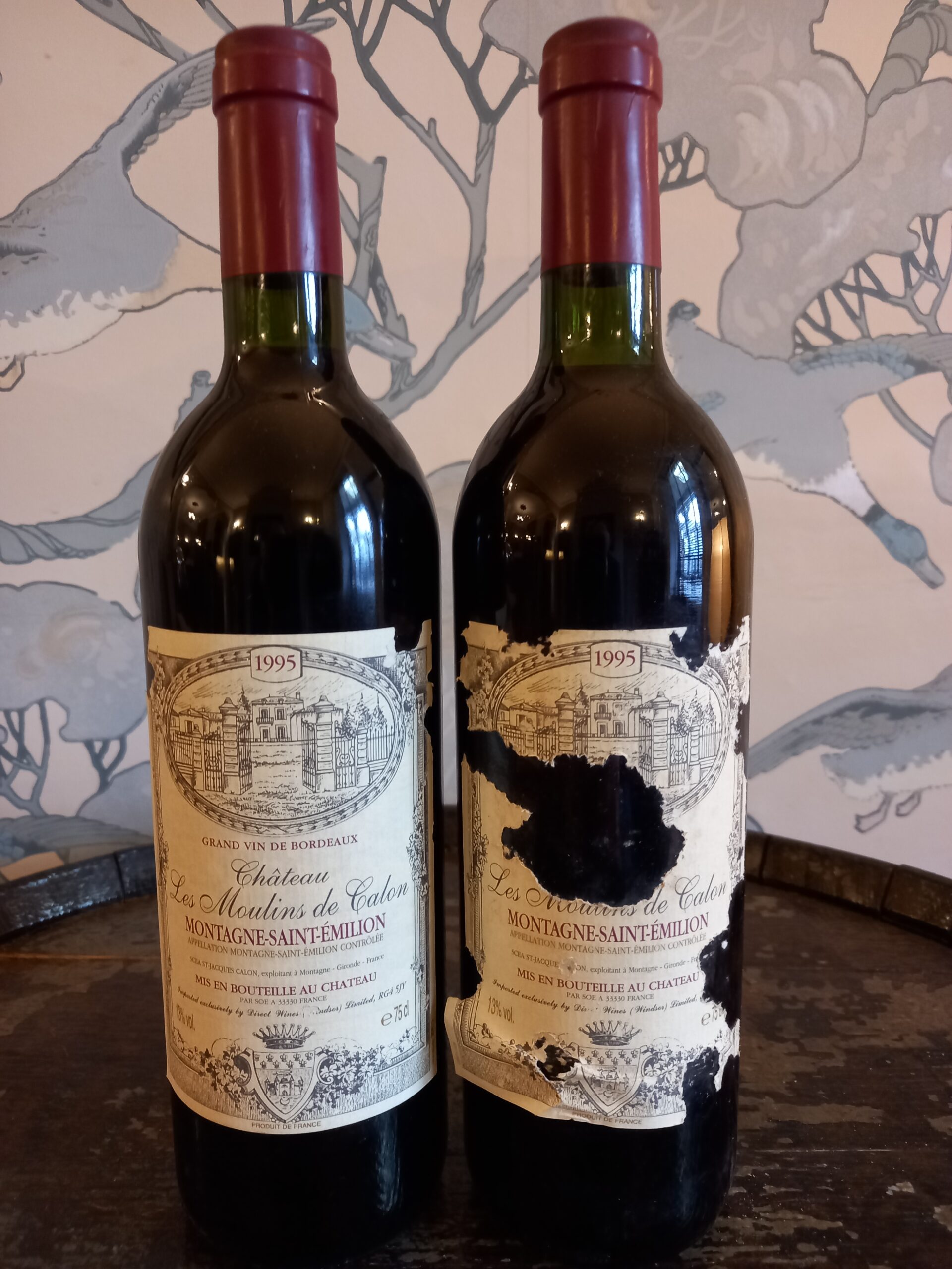1995 Chateau Les Moulins De Calon, Montagne-Saint-Emilion, France